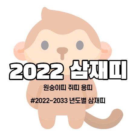 2022 삼재띠